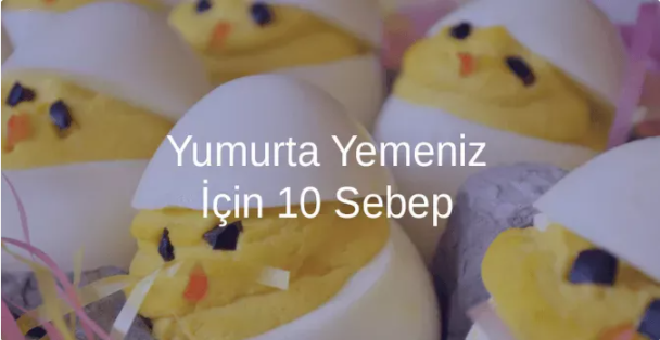 Yumurta Yemeniz İçin 10 Sebep