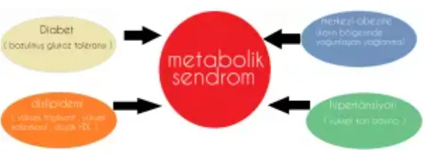 Diyabet, dislipidemi, merkezi obezite ve hipertansiyonun metabolik sendromu oluşturduğunu gösteren şema