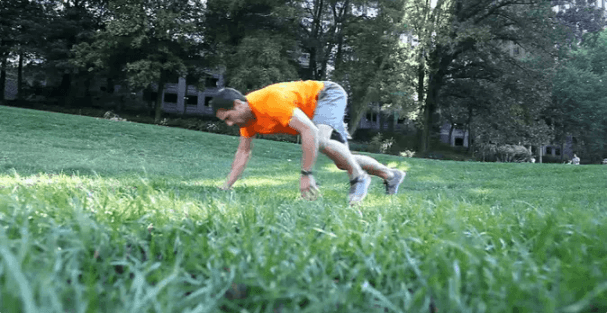Bear Crawls