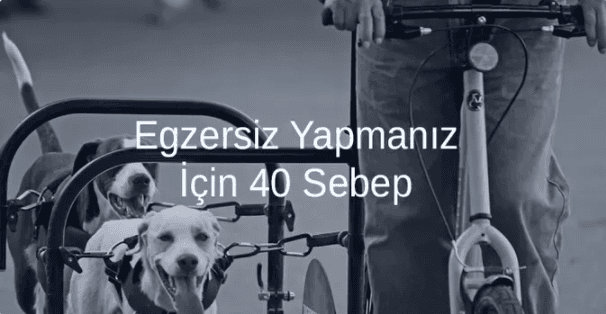 Egzersiz Yapmanız İçin 40 Sebep
