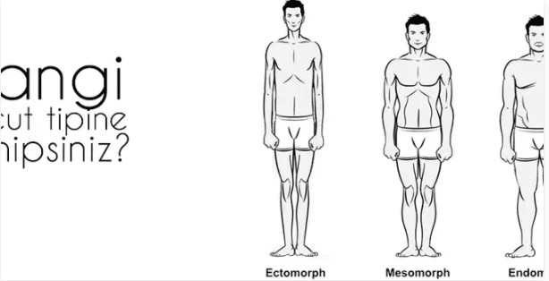 Hangi Vücut Tipine Sahipsiniz ?