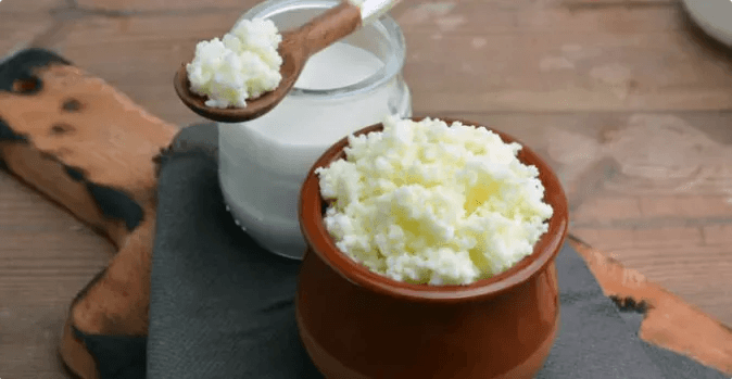 Kefirin Faydaları: Kefir Nedir? Evde Kefir Nasıl Yapılır?