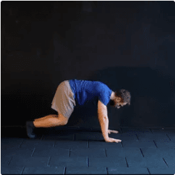 Dog Position Nasıl Yapılır?