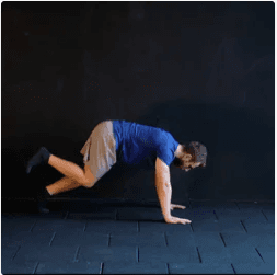 Dog Position Single Leg Nasıl Yapılır?