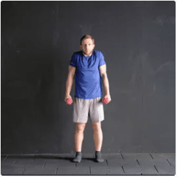 Dumbbell Shrug Nasıl Yapılır?