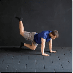 Quadruped Hip Extension Nasıl Yapılır?