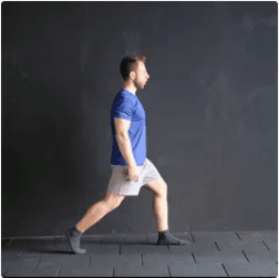 Stable Lunge Nasıl Yapılır?