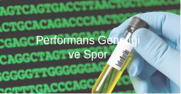 Performans Genetiği ve Spor