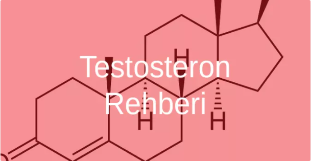 Testosteron (Erkeklik Hormonu) Rehberi