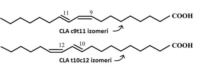 'Yukarıda iki farklı CLA izomerini görüyorsunuz.'